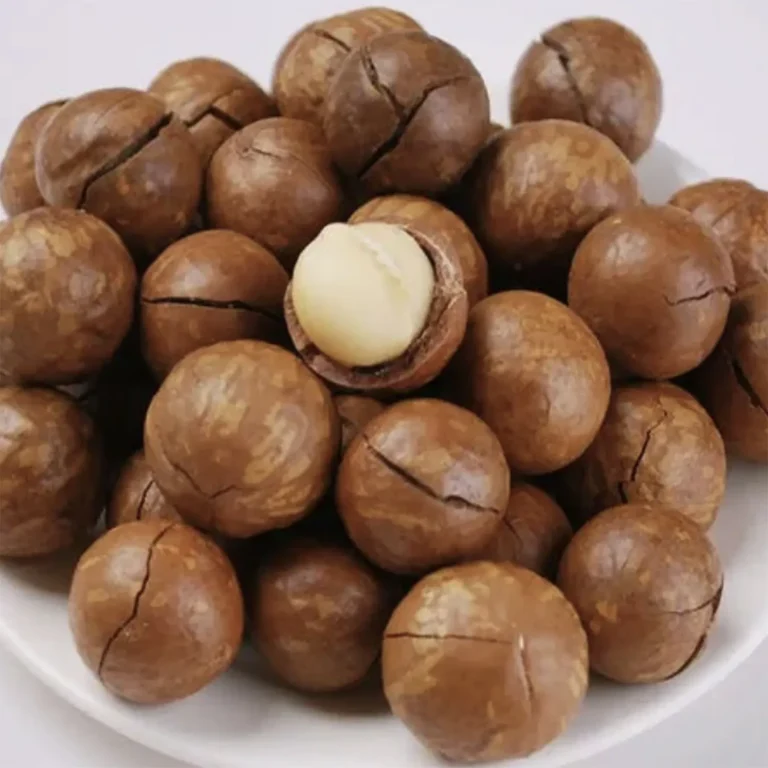 Roasted & Salted Macs NIS-ghmuyk6y5twrq