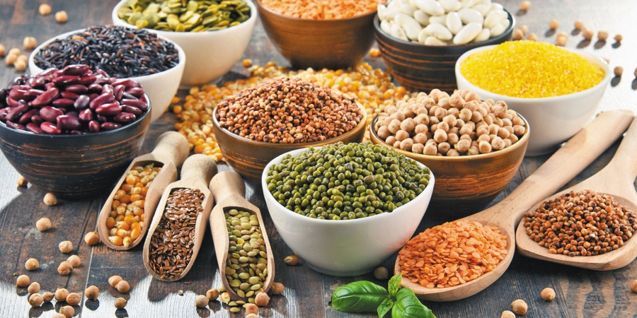 Grain and Oilseed